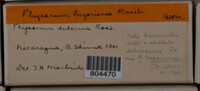 Image Associated With the Occurence
